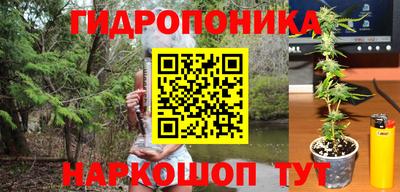 амф Кунгур