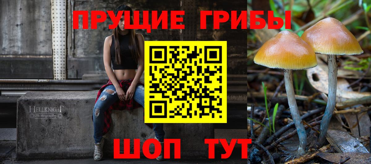 Псилоцибиновые грибы мухоморы Димитровград