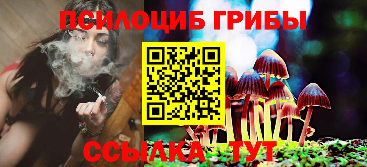 Димитровград  Галлюциногенные грибы GOLDEN TEACHER  Вход с VPN 